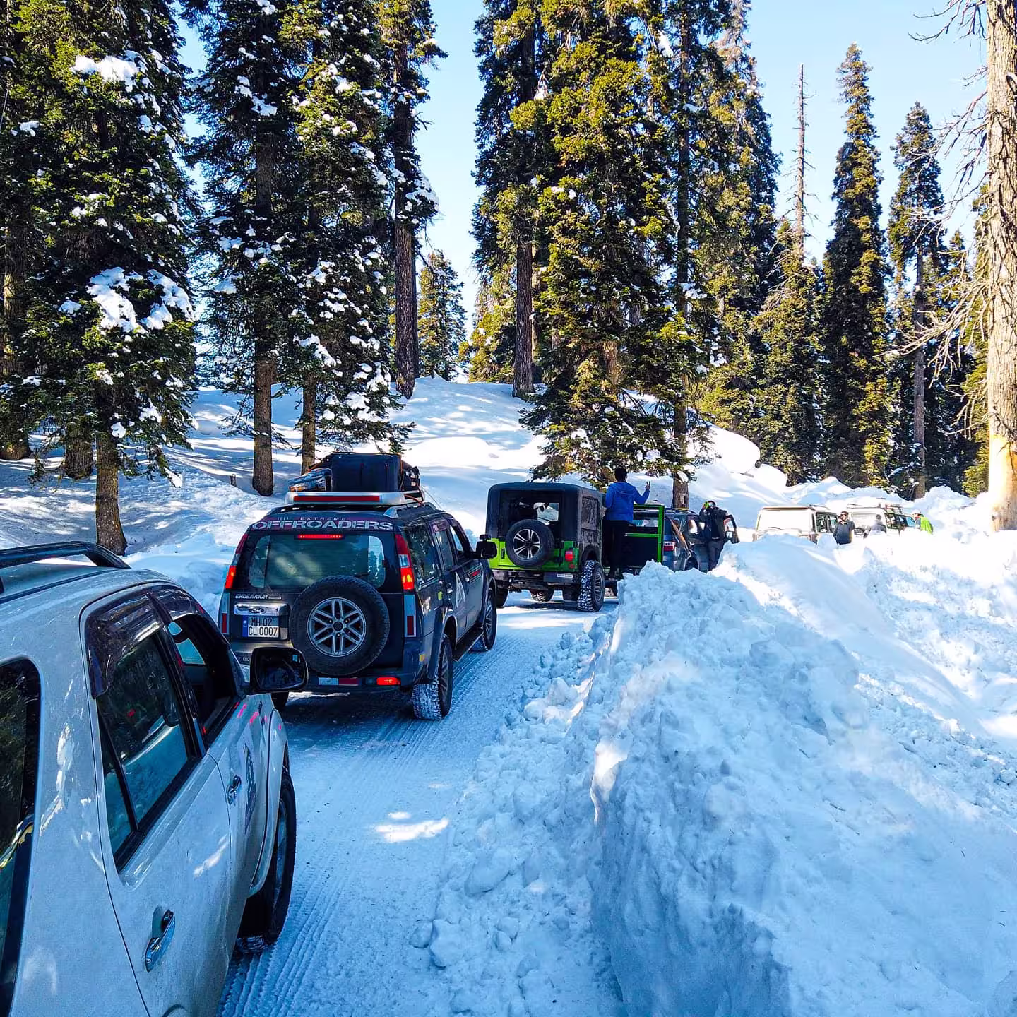 Happy travelers enjoying a guided mountain trekking experience